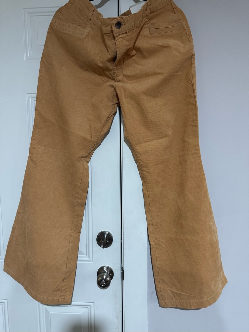 Cato Women's Bootcut Pants in Caramel Tan